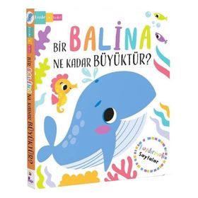 Bir Balina Ne Kadar Büyüktür? İndigo Çocuk