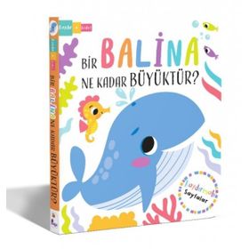 Bir Balina Ne Kadar Büyüktür? İndigo Çocuk
