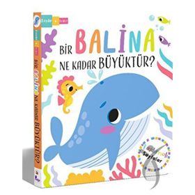 Bir Balina Ne Kadar Büyüktür? İndigo Çocuk