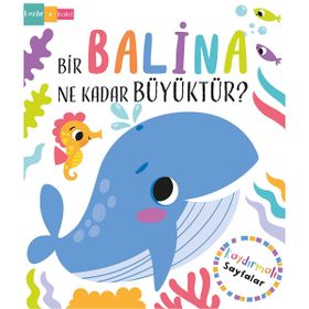 Bir Balina Ne Kadar Büyüktür? İndigo Çocuk