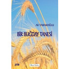 Bir Buğday Tanesi - ngugi wa thiongo