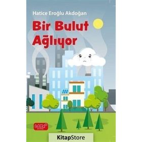 Bir Bulut Ağlıyor - Hatice Eroğlu Akdoğan
