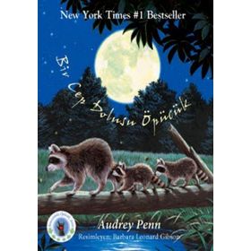 BIR CEP DOLUSU ÖPÜCÜK MINIK RAKUN - AVUCUNDAKI ÖPÜCÜK SERISI - AUDREY PENN