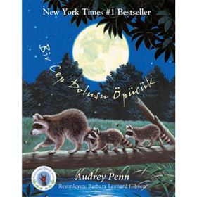 BIR CEP DOLUSU ÖPÜCÜK MINIK RAKUN - AVUCUNDAKI ÖPÜCÜK SERISI - AUDREY PENN