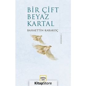 Bir Çift Beyaz Kartal - Bahaettin Karakoç