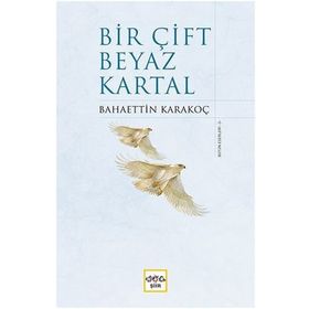 Bir Çift Beyaz Kartal - Bahaettin Karakoç