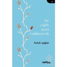 Bir Çığlık Açsın Tomurcuk - Haluk Çağlar