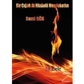 Bir Çığlık At Hüzünlü Memleketim - Sami Gök