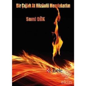 Bir Çığlık At Hüzünlü Memleketim - Sami Gök