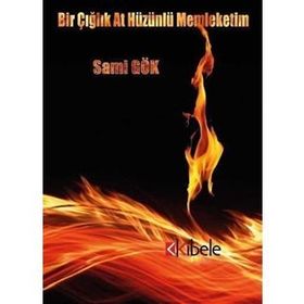 Bir Çığlık At Hüzünlü Memleketim - Sami Gök