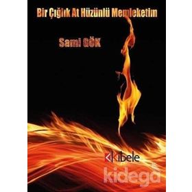 Bir Çığlık At Hüzünlü Memleketim - Sami Gök