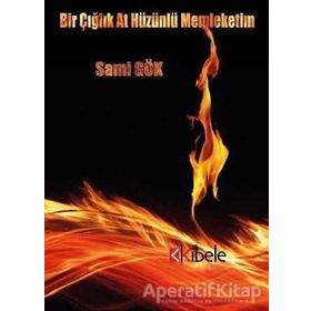 Bir Çığlık At Hüzünlü Memleketim - Sami Gök