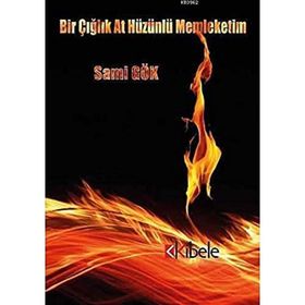 Bir Çığlık At Hüzünlü Memleketim - Sami Gök
