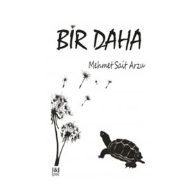 Bir Daha - Mehmet Sait Arzu