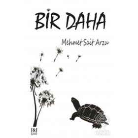 Bir Daha - Mehmet Sait Arzu