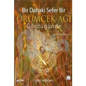 Bir Dahaki Sefer Bir Örümcek Ağı Gördüğünde - Emily Morgan