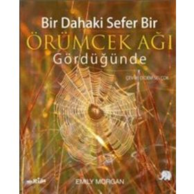 Bir Dahaki Sefer Bir Örümcek Ağı Gördüğünde - Emily Morgan