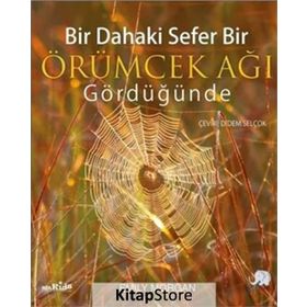 Bir Dahaki Sefer Bir Örümcek Ağı Gördüğünde - Emily Morgan