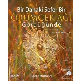 Bir Dahaki Sefer Bir Örümcek Ağı Gördüğünde - Emily Morgan