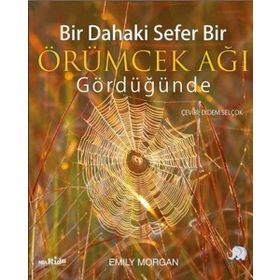 Bir Dahaki Sefer Bir Örümcek Ağı Gördüğünde - Emily Morgan