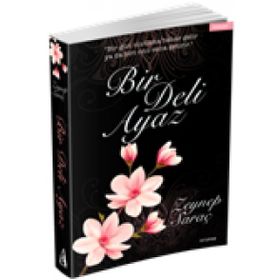 Bir Deli Ayaz - Zeynep Saraç