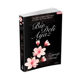 Bir Deli Ayaz - Zeynep Saraç