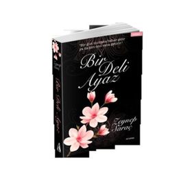 Bir Deli Ayaz - Zeynep Saraç