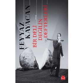 Bir Deli Değilin Defterleri - Feyyaz Kayacan