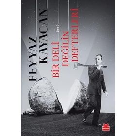 Bir Deli Değilin Defterleri - Feyyaz Kayacan