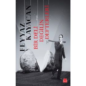 Bir Deli Değilin Defterleri - Feyyaz Kayacan