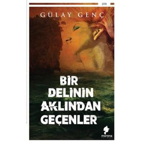 Bir Delinin Aklından Geçenler - Gülay Genç