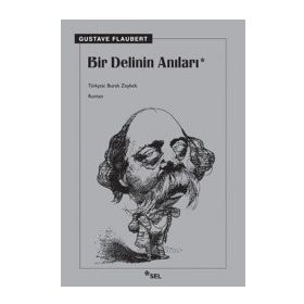 BIR DELININ ANILARI - GUSTAVE FLAUBERT