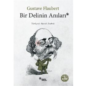 BIR DELININ ANILARI - GUSTAVE FLAUBERT