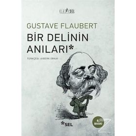BIR DELININ ANILARI - GUSTAVE FLAUBERT