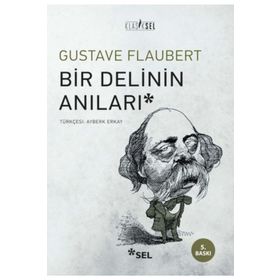BIR DELININ ANILARI - GUSTAVE FLAUBERT