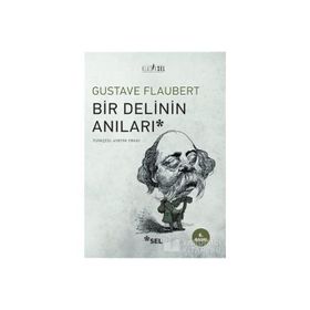 BIR DELININ ANILARI - GUSTAVE FLAUBERT