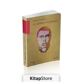Bir Delinin Çivi Yaraları - Kerem Şahinboy