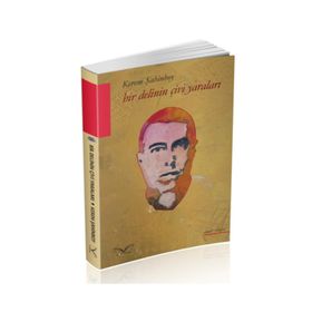 Bir Delinin Çivi Yaraları - Kerem Şahinboy