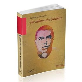 Bir Delinin Çivi Yaraları - Kerem Şahinboy