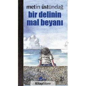 Bir Delinin Mal Beyanı - Metin Üstündağ