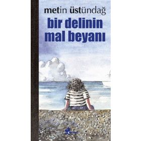 Bir Delinin Mal Beyanı - Metin Üstündağ