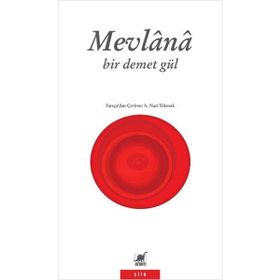 Bir Demet Gül - Mevlana Celalettin Rumi