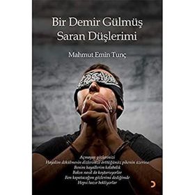 Bir Demir Gülmüş Saran Düşlerimi - Mahmut Emin Tunç