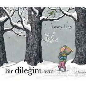 Bir Dileğim Var - Jimmy Liao