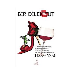 BIR DILEK TUT HAYATIN DEĞIŞSIN - GAHL SASSON;STEVE WEINSTEIN