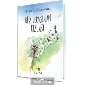 Bir Duygudan Fazlası - Ayşegül Çiçekoğlu