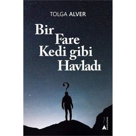 Bir Fare Kedi Gibi Havladı - Tolga Alver