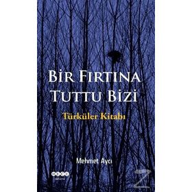 Bir Fırtına Tuttu Bizi - Mehmet Aycı