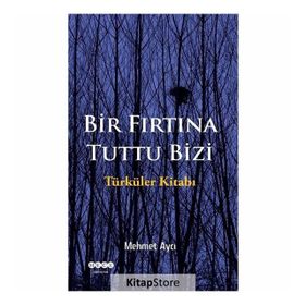 Bir Fırtına Tuttu Bizi - Mehmet Aycı