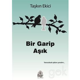Bir Garip Aşık - Taşkın Ekici